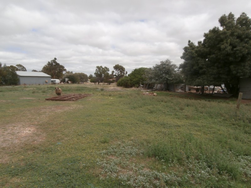 100 Sandhurst Street, Raywood VIC 3570