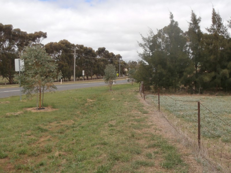 100 Sandhurst Street, Raywood VIC 3570