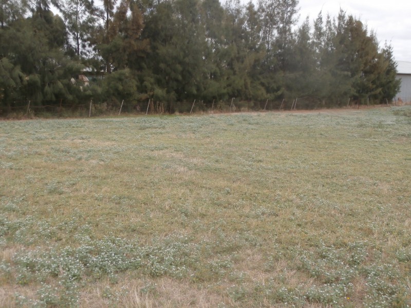 100 Sandhurst Street, Raywood VIC 3570