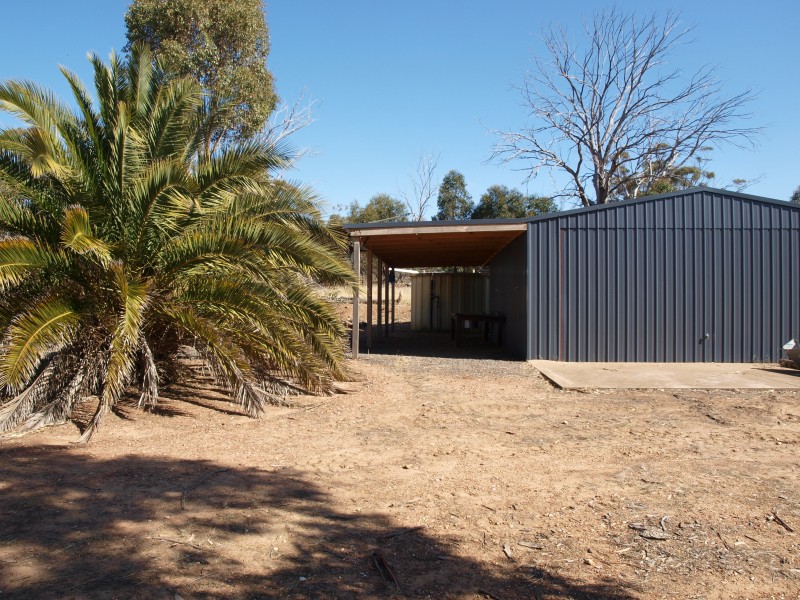 3272 Avoca-Bealiba Road, Bealiba VIC 3475