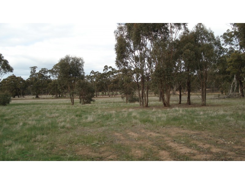 3272 Avoca-Bealiba Road, Bealiba VIC 3475