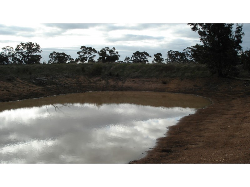 3272 Avoca-Bealiba Road, Bealiba VIC 3475