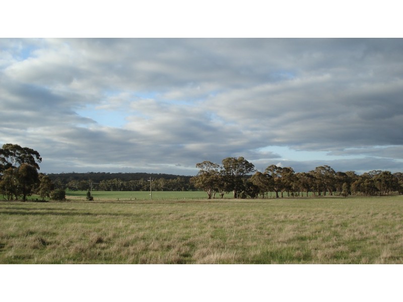 3272 Avoca-Bealiba Road, Bealiba VIC 3475