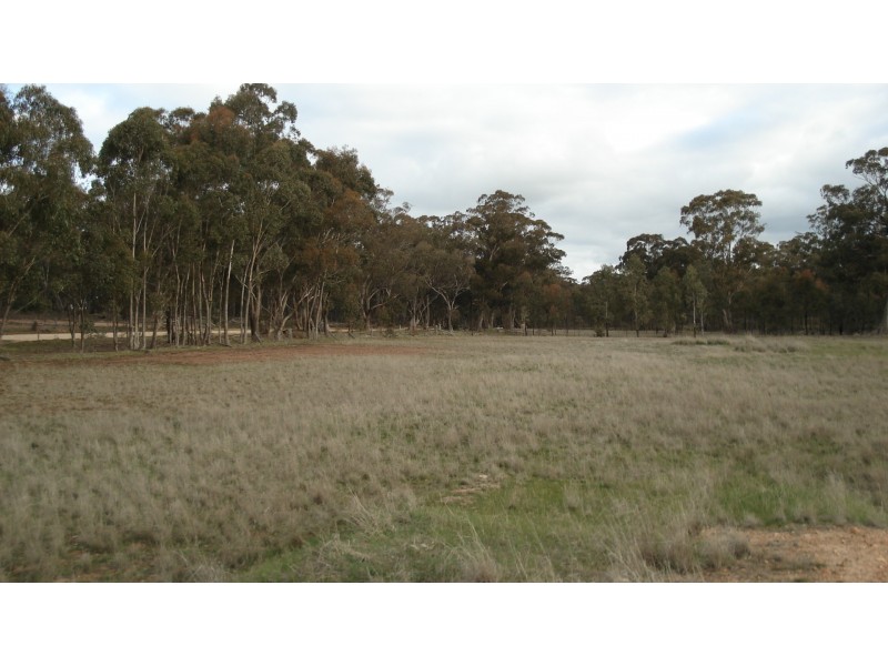 3272 Avoca-Bealiba Road, Bealiba VIC 3475