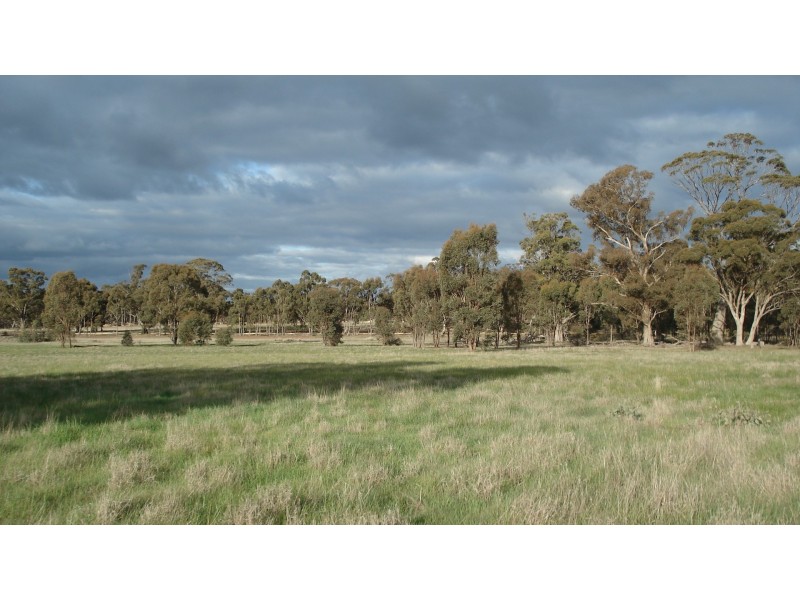 3272 Avoca-Bealiba Road, Bealiba VIC 3475