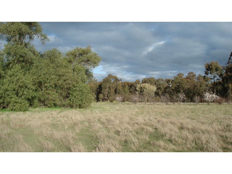 3272 Avoca-Bealiba Road, Bealiba VIC 3475