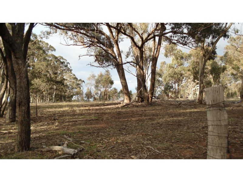 3272 Avoca-Bealiba Road, Bealiba VIC 3475