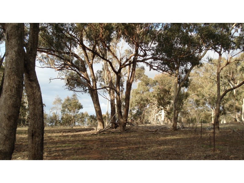 3272 Avoca-Bealiba Road, Bealiba VIC 3475