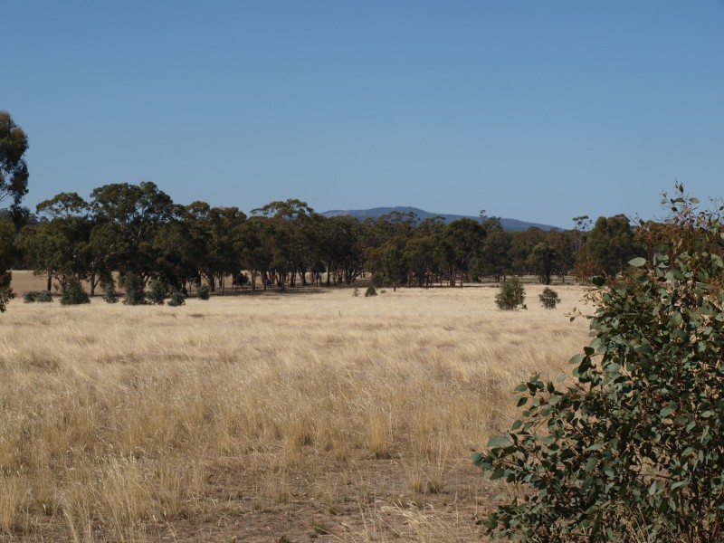 3272 Avoca-Bealiba Road, Bealiba VIC 3475