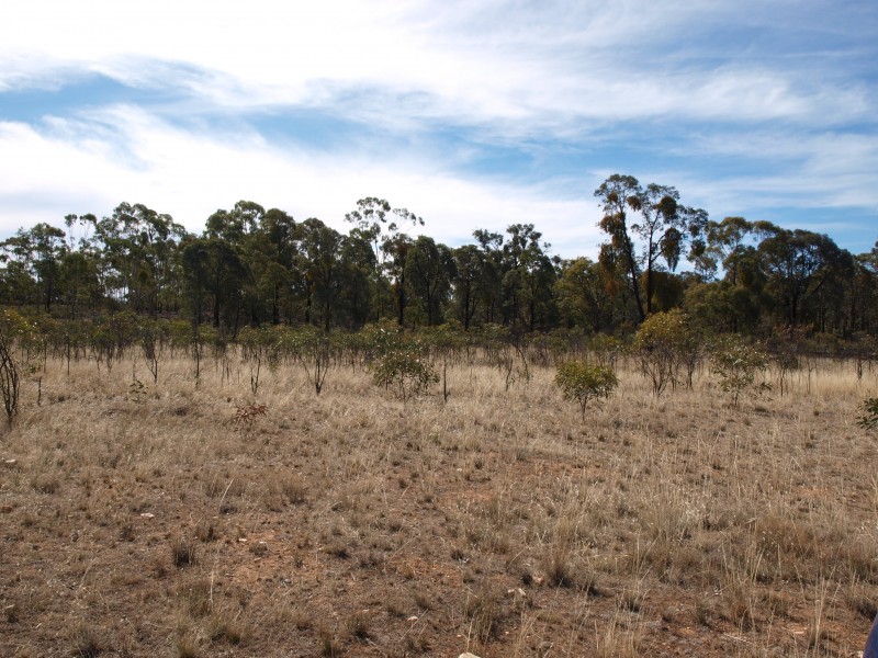 81 Smiths Road, Bealiba VIC 3475