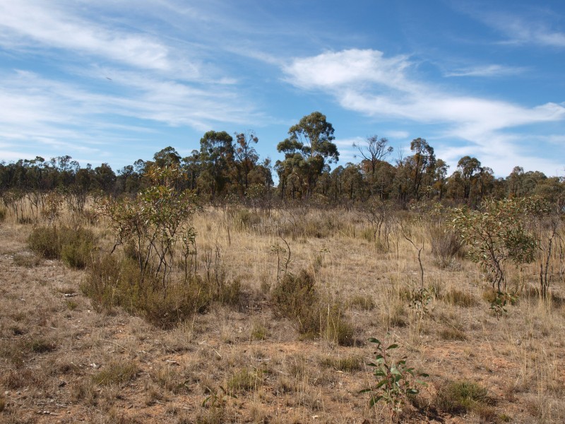 81 Smiths Road, Bealiba VIC 3475