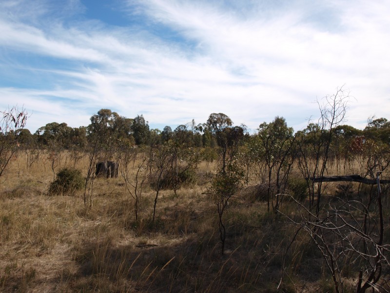 81 Smiths Road, Bealiba VIC 3475