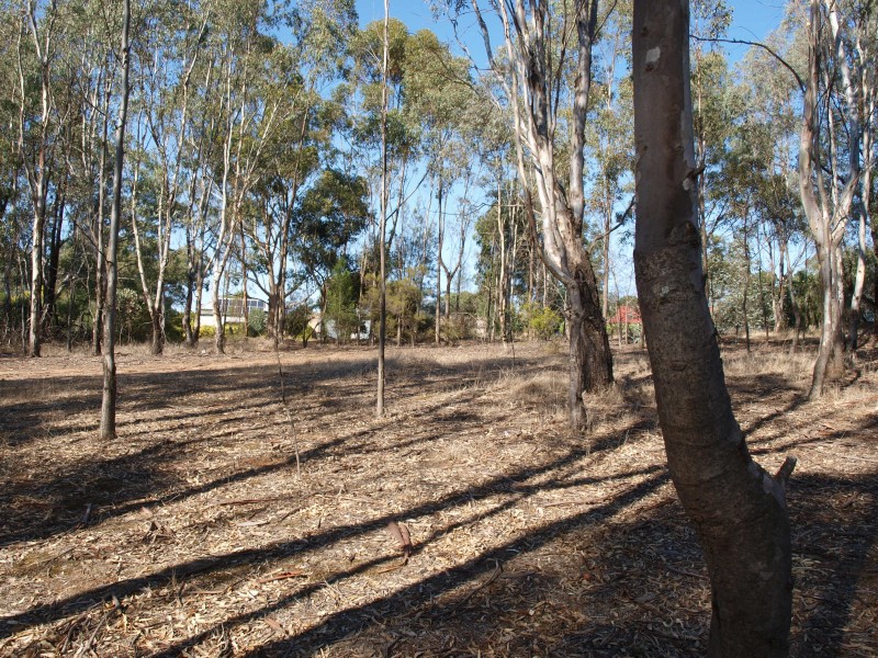 3 & 4  Main Road, Laanecoorie VIC 3463