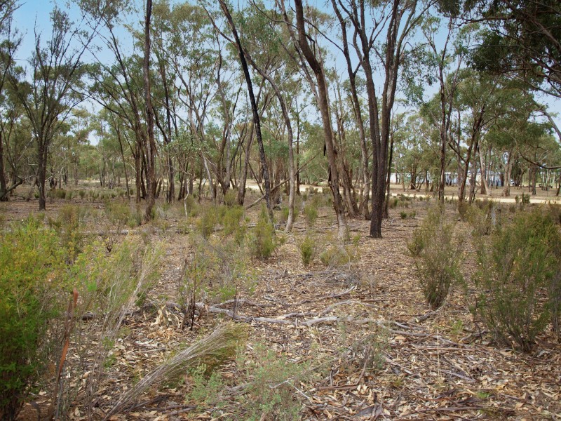 268 Puzzle Flat Road, Bealiba VIC 3475