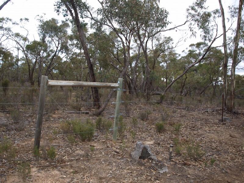 268 Puzzle Flat Road, Bealiba VIC 3475