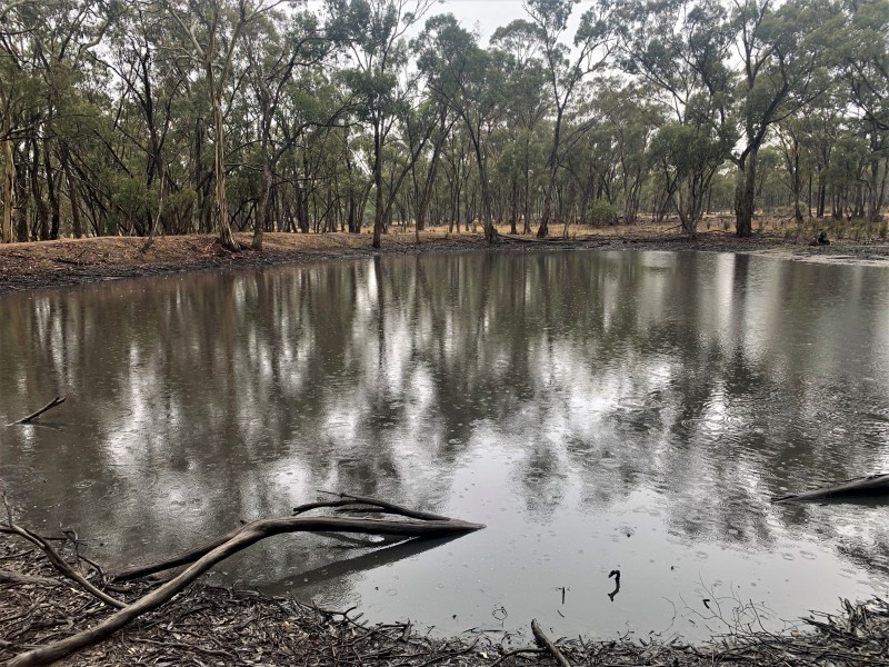 268 Puzzle Flat Road, Bealiba VIC 3475