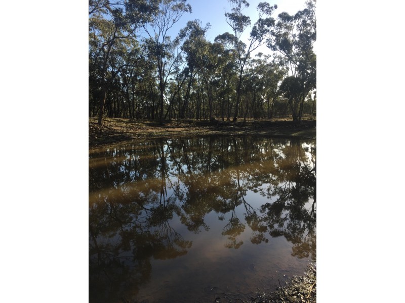 268 Puzzle Flat Road, Bealiba VIC 3475