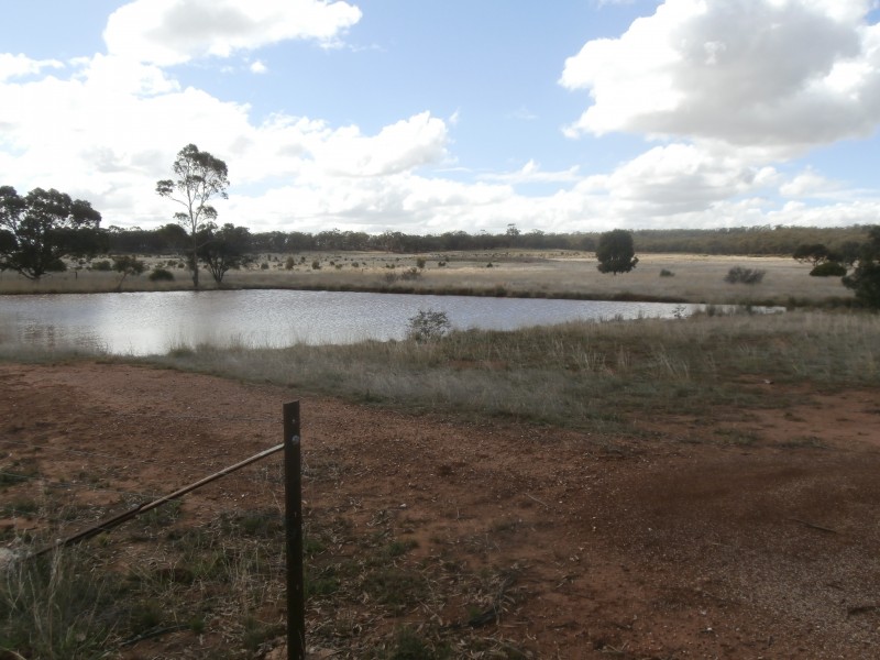 88 Wychitella North Road, Wychitella VIC 3525