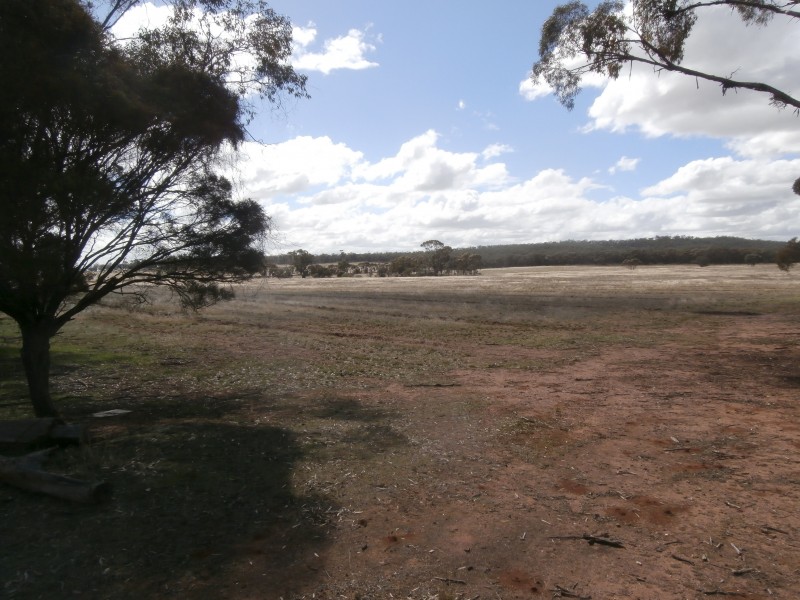 88 Wychitella North Road, Wychitella VIC 3525