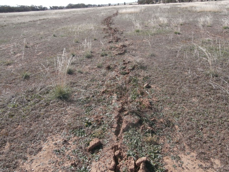 88 Wychitella North Road, Wychitella VIC 3525