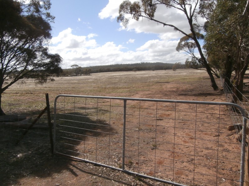 88 Wychitella North Road, Wychitella VIC 3525