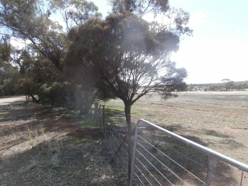 88 Wychitella North Road, Wychitella VIC 3525