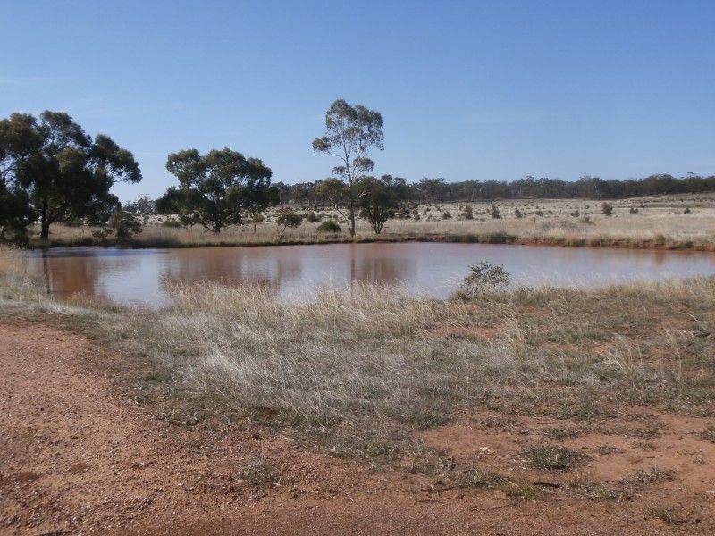 88 Wychitella North Road, Wychitella VIC 3525