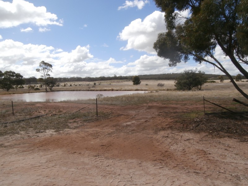 88 Wychitella North Road, Wychitella VIC 3525