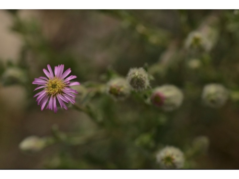1 Wedderburn Junction East Road, Fiery Flat VIC 3518