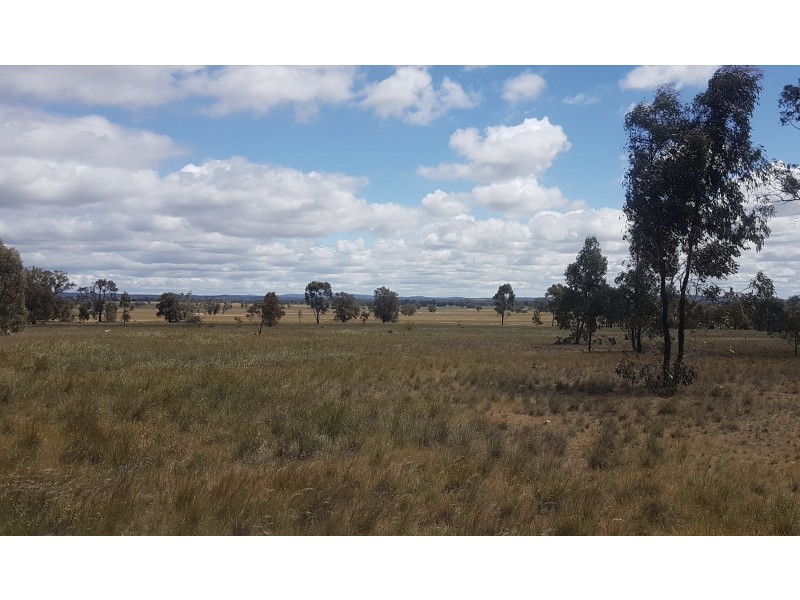 1 Wedderburn Junction East Road, Fiery Flat VIC 3518