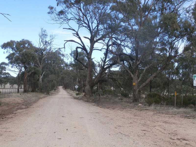 1 Wedderburn Junction East Road, Fiery Flat VIC 3518