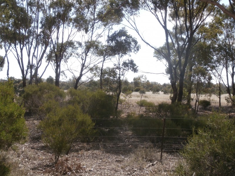 1 Wedderburn Junction East Road, Fiery Flat VIC 3518