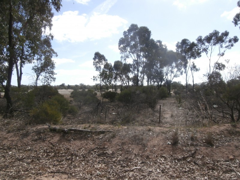 1 Wedderburn Junction East Road, Fiery Flat VIC 3518