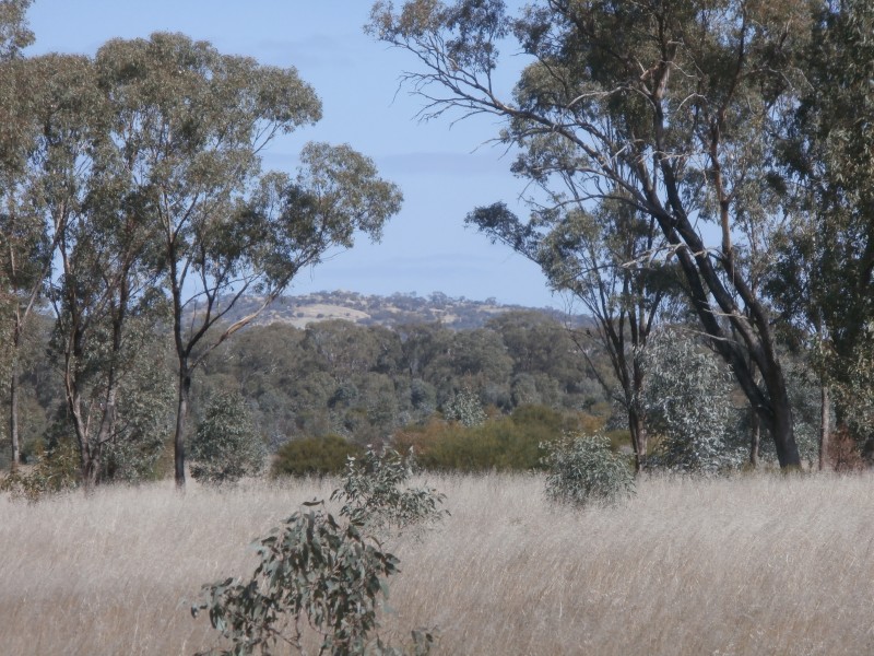 1 Wedderburn Junction East Road, Fiery Flat VIC 3518
