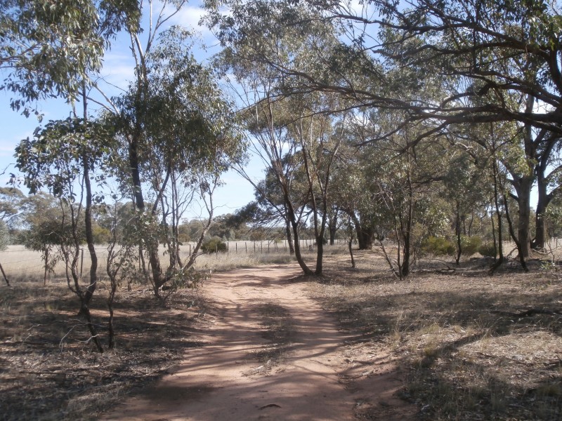 1 Wedderburn Junction East Road, Fiery Flat VIC 3518