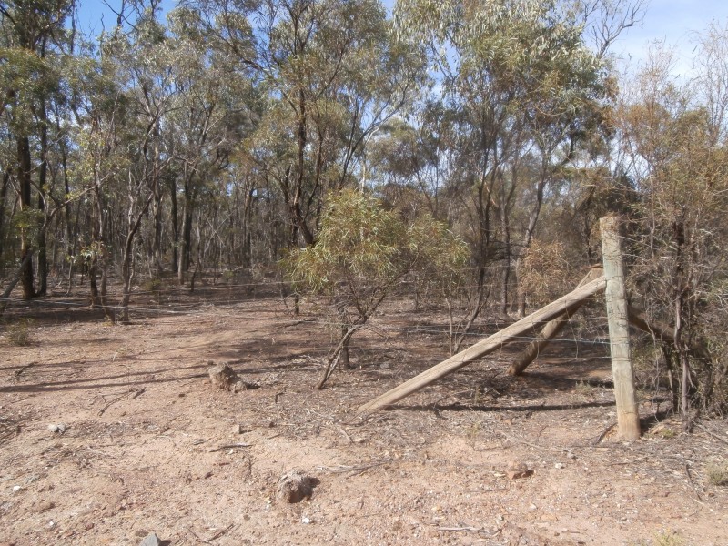 7/1000 Sheldons Road, Myers Flat VIC 3556