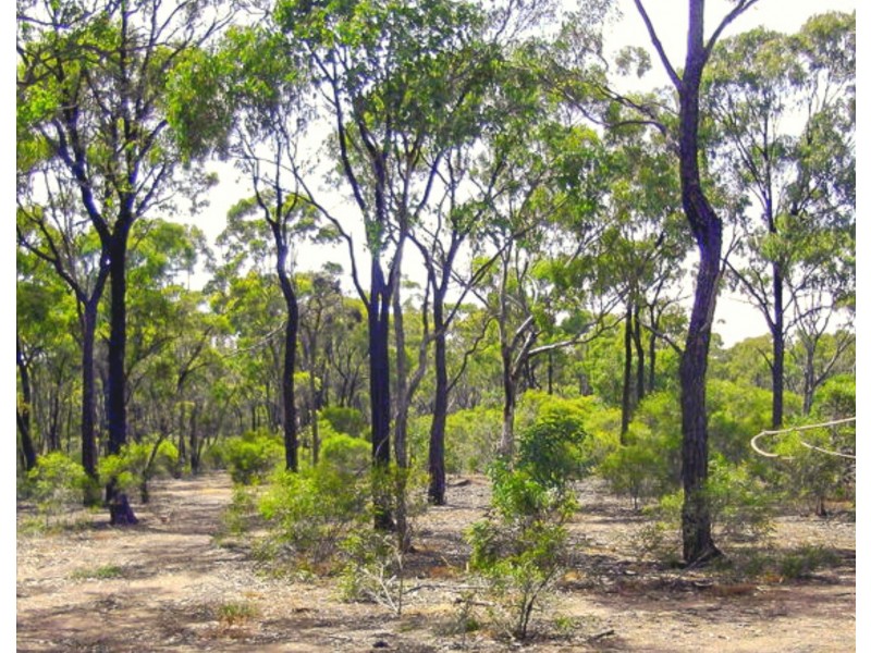 7/1000 Sheldons Road, Myers Flat VIC 3556