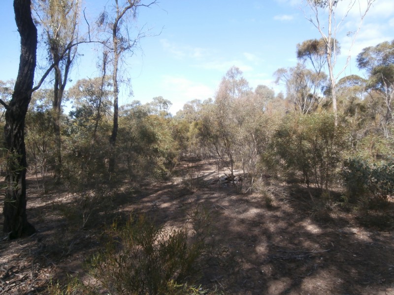 7/1000 Sheldons Road, Myers Flat VIC 3556