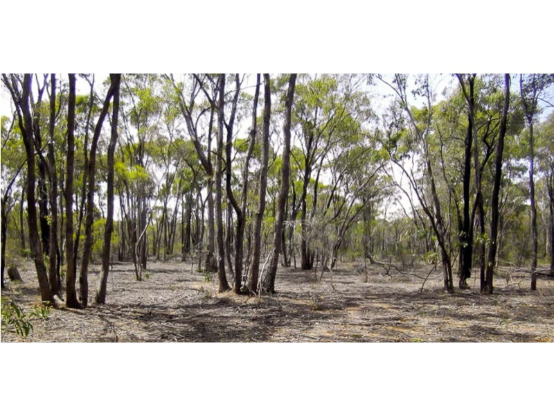 8/1500 Sheldons Road, Myers Flat VIC 3556