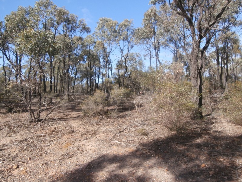 8/1500 Sheldons Road, Myers Flat VIC 3556