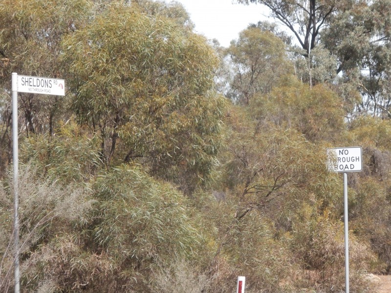 8/1500 Sheldons Road, Myers Flat VIC 3556