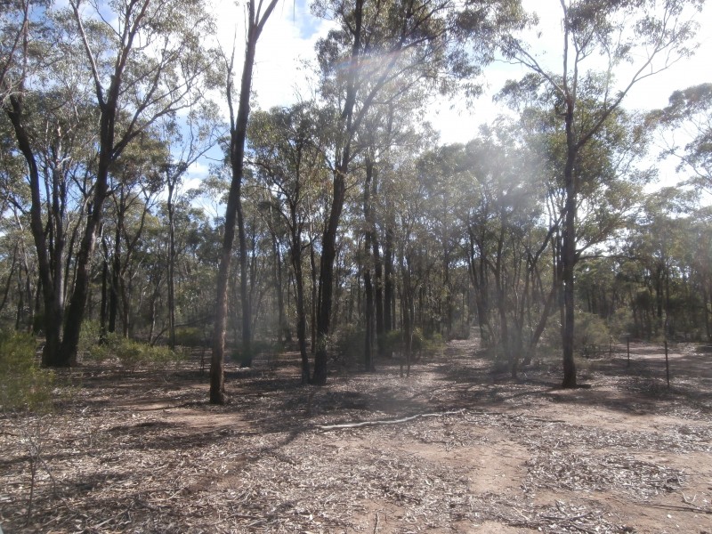 8/1500 Sheldons Road, Myers Flat VIC 3556