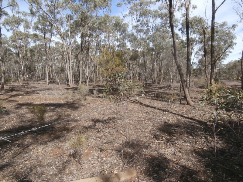 8/1500 Sheldons Road, Myers Flat VIC 3556