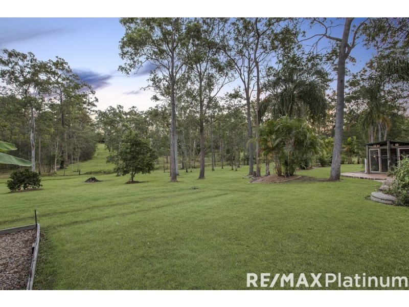 35 Burness Court, Morayfield QLD 4506