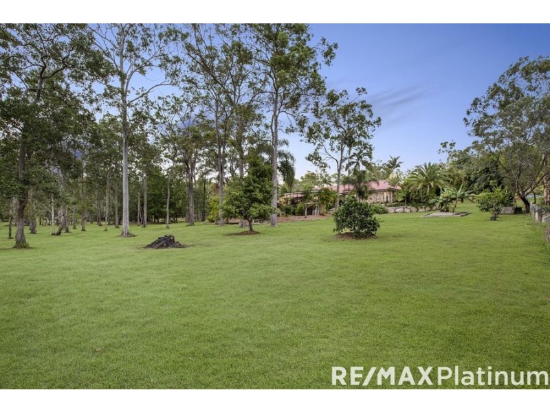 35 Burness Court, Morayfield QLD 4506
