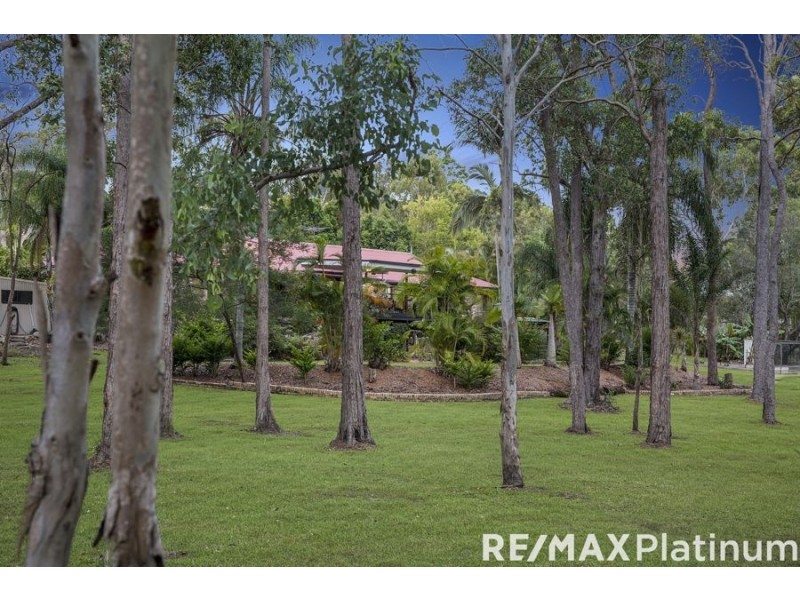 35 Burness Court, Morayfield QLD 4506
