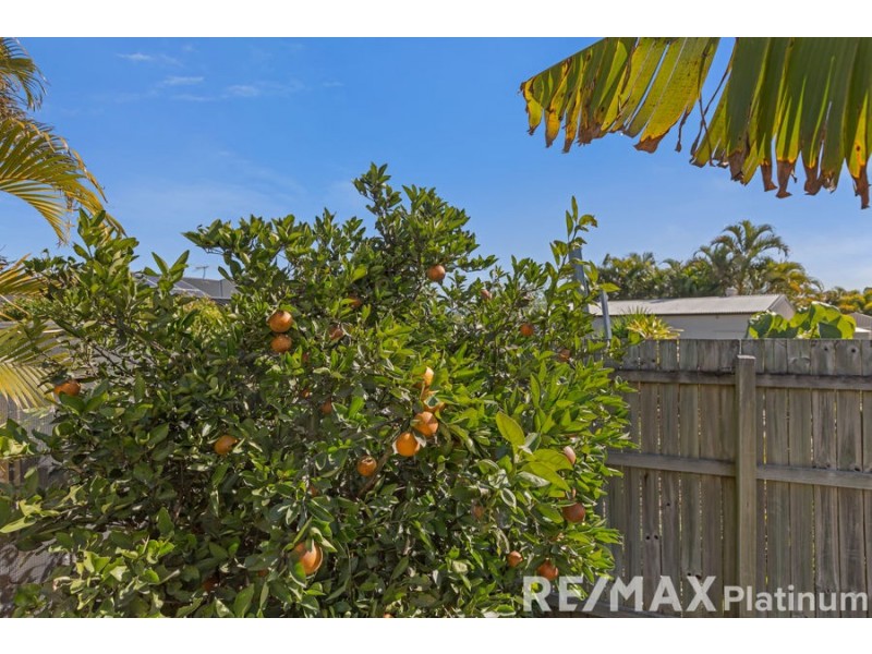 50 Picton Crescent, Narangba QLD 4504