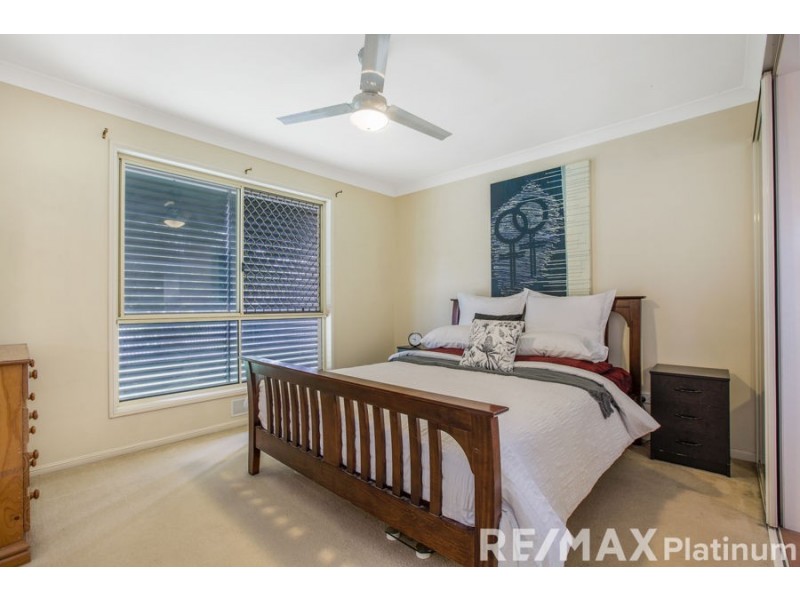 50 Cottonwood Street, Narangba QLD 4504