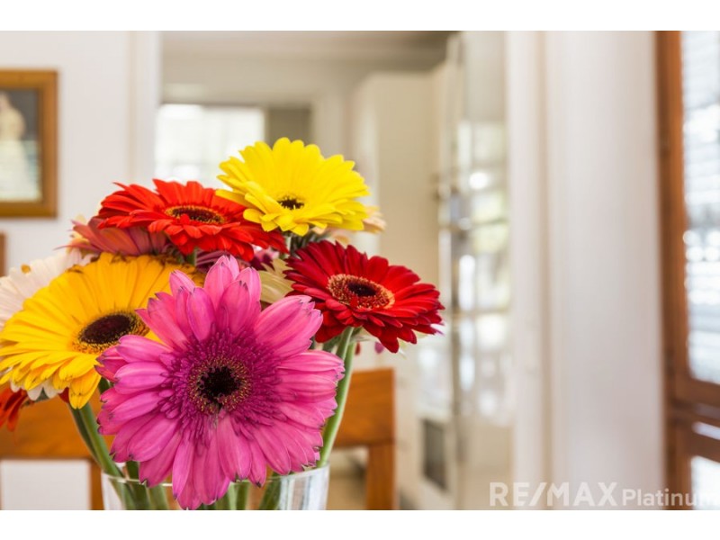 16 Peppermint Court, Narangba QLD 4504