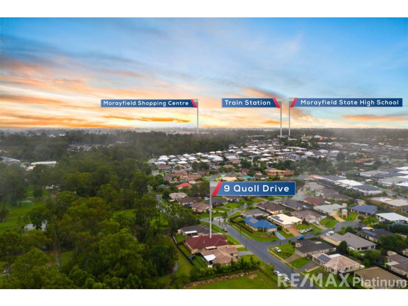 9 Quoll Drive, Morayfield QLD 4506